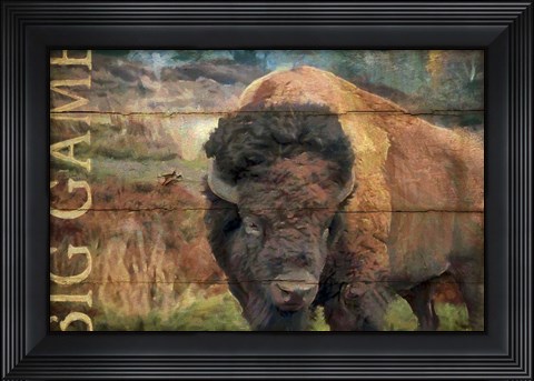 Framed Big Game Bison Print