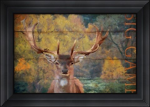 Framed Big Game Deer Print