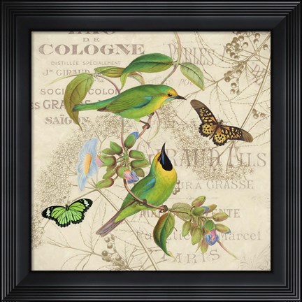 Framed Bird Couple IV Print