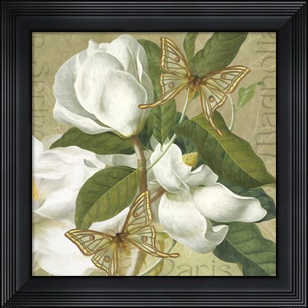 Framed Paris Magnolia's in Spring II Print