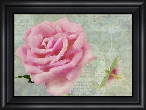 Framed Pink Rose With Grasshopper II Print