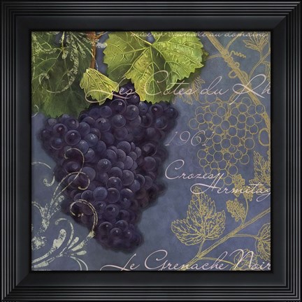 Framed Vignes Rouges Grenache Noir Print