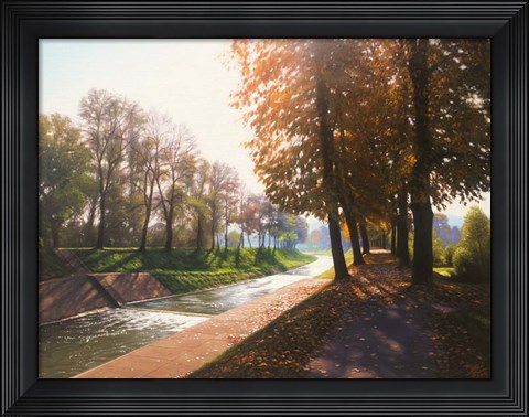 Framed Sunny Fall Print