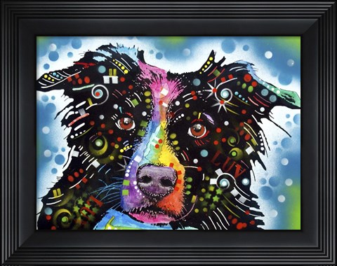 Framed Border Collie 3 Print