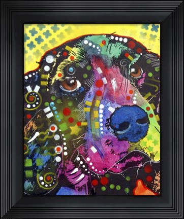 Framed Springer Print