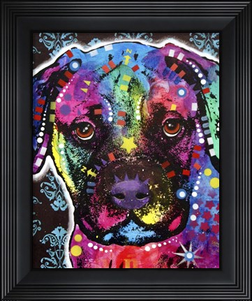 Framed Young Bull Mastiff Print