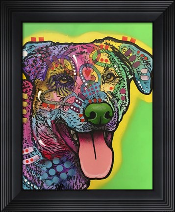 Framed HawkEye Print