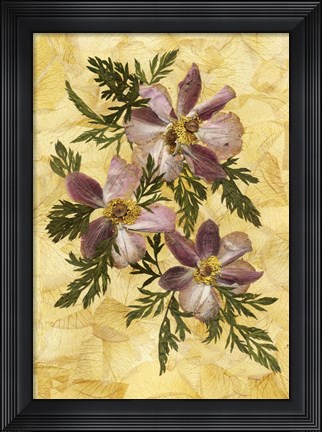 Framed Anemones Print