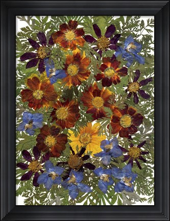 Framed Dried Flowers 1 Print