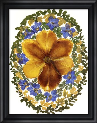 Framed Dried Flowers 2 Print