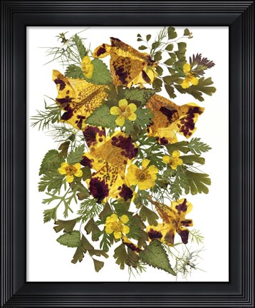 Framed Flower Fantasy 13 Print