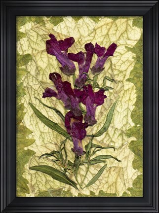 Framed Flower Fantasy 19 Print