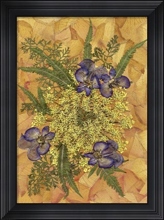 Framed Flower Fantasy 20 Print