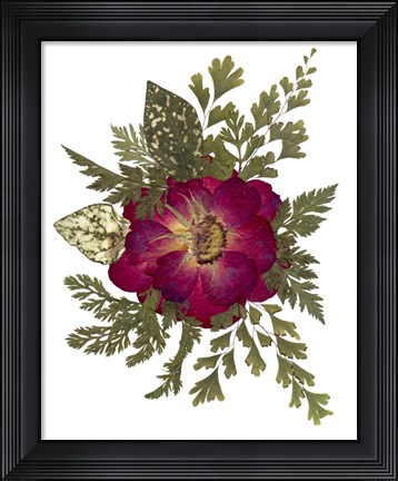 Framed Flower Fantasy 23 Print