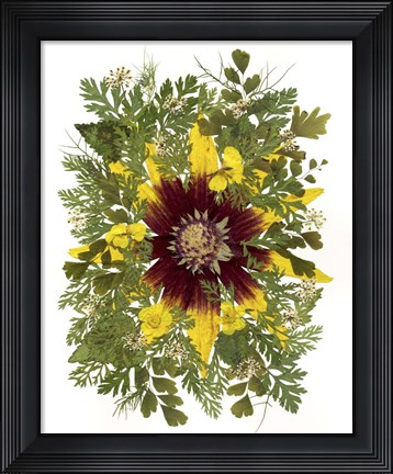 Framed Flower Fantasy 33 Print