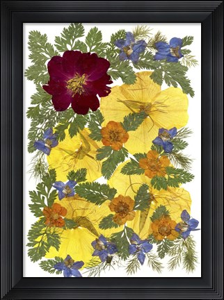 Framed Flower Fantasy 45 Print