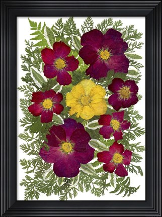 Framed Flower Fantasy 46 Print