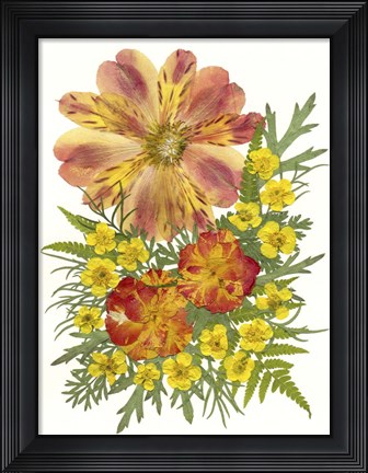 Framed Dried Flowers 5 Print