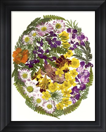 Framed Dried Flowers 6 Print