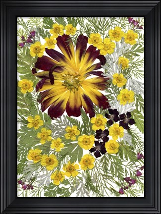 Framed Dried Flowers 7 Print
