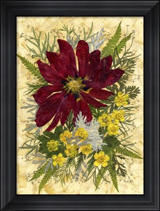 Framed Dried Flowers 8 Print