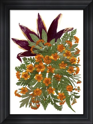Framed Dried Flowers 9 Print