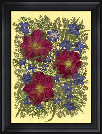 Framed Dried Flowers 10 Print