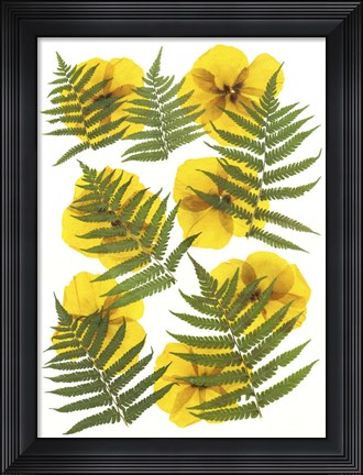 Framed Dried Flowers 11 Print