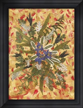 Framed Dried Flowers 12 Print