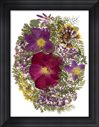 Framed Dried Flowers 13 Print
