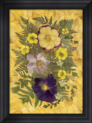 Framed Dried Flowers 15 Print