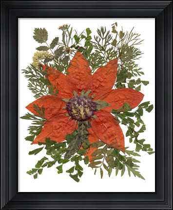 Framed Dried Flowers 17 Print