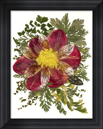 Framed Dried Flowers 18 Print