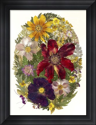 Framed Dried Flowers 20 Print