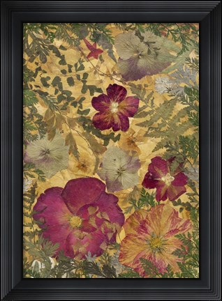 Framed Dried Flowers 22 Print