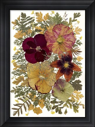 Framed Dried Flowers 23 Print