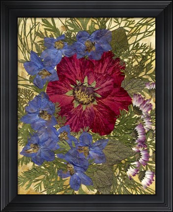 Framed Dried Flowers 24 Print