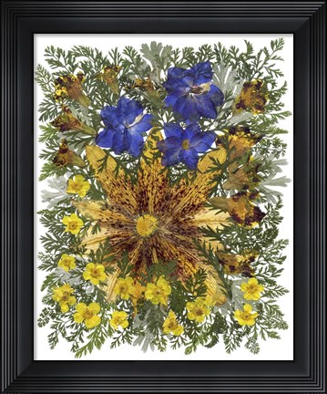 Framed Dried Flowers 26 Print