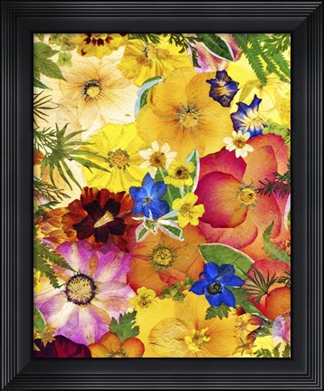Framed Dried Flowers 27 Print