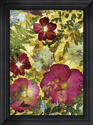 Framed Dried Flowers 28 Print