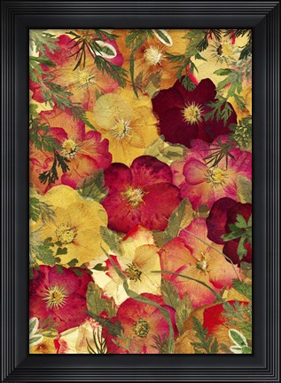 Framed Dried Flowers 30 Print