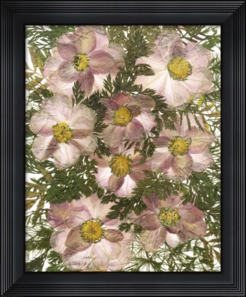 Framed Dried Flowers 32 Print