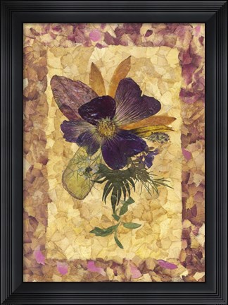 Framed Dried Flowers 34 Print
