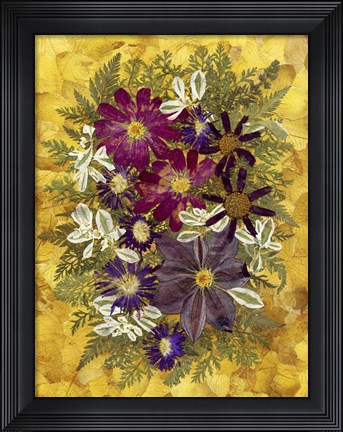 Framed Dried Flowers 36 Print