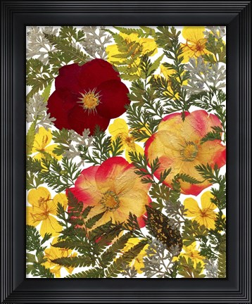 Framed Dried Flowers 38 Print