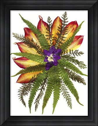 Framed Dried Flowers 39 Print