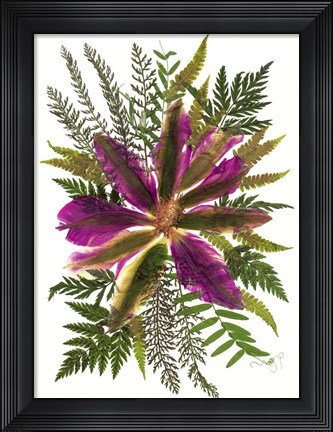 Framed Dried Flowers 40 Print