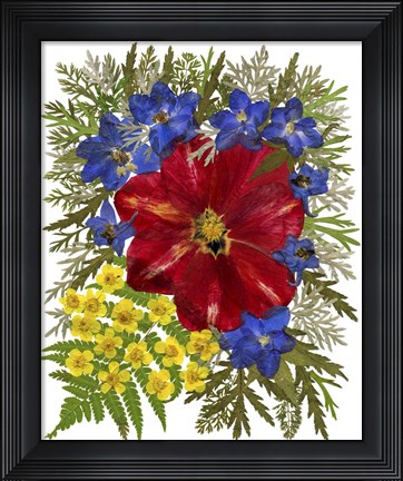 Framed Dried Flowers 41 Print