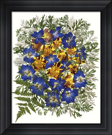Framed Dried Flowers 43 Print