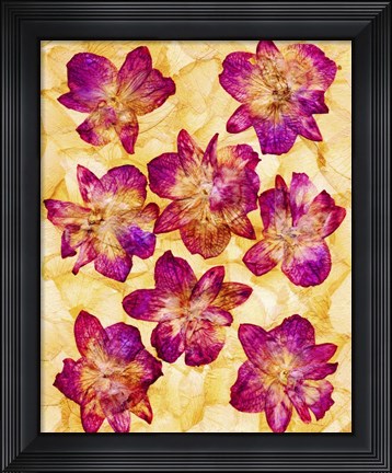 Framed Dried Flowers 44 Print